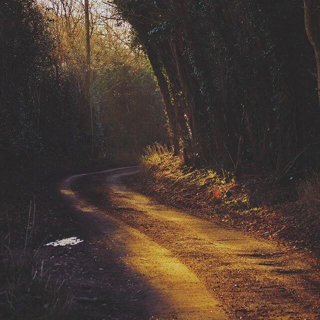 Winter Morning Country Road